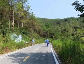 横山景区管理处多措并举 筑牢森林病虫害防治屏障